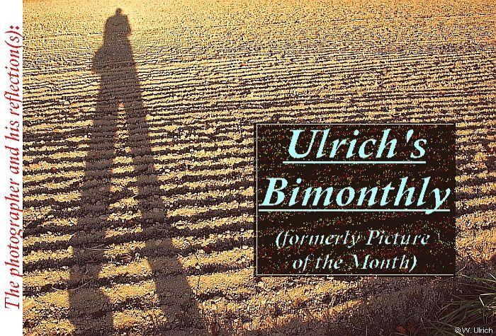 Introduction to Ulrich's Bimonthly (formerly Picture of the Month) - (roll over) 