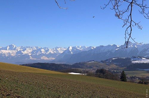 Alpine panorama